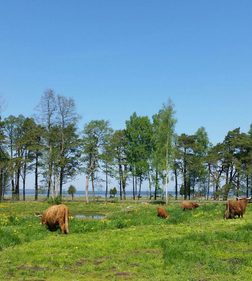 Ranna Villa Farm Kudema ภายนอก รูปภาพ